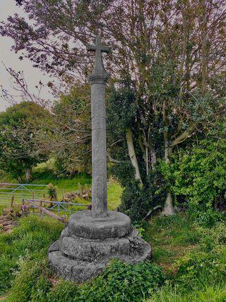 cheddleton 25