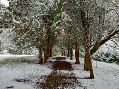 cheddleton 32