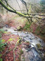 cheddleton 43