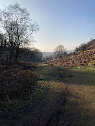 cheddleton 46